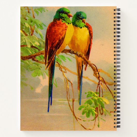 schönes Vogelbild Notizblock (Rückseite)