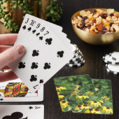 Schönes Vogeldeck mit Spielkarten (In Situ)