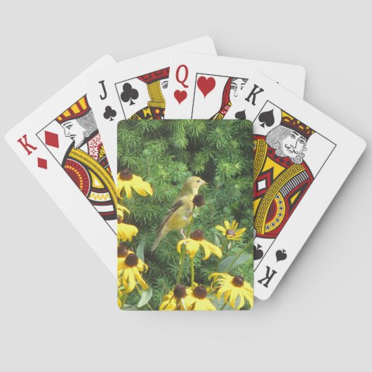 Schönes Vogeldeck mit Spielkarten (Rückseite)