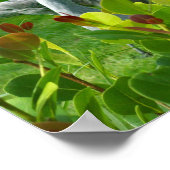 Schönes Vogelfoto von Crane Poster (Ecke)