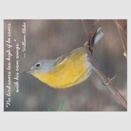 Schönes Vogelgeflechtpapier Seidenpapier (Vorderseite)