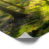 Schönes Waldlicht Poster (Ecke)