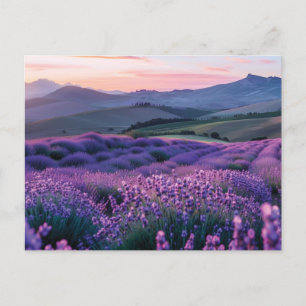 Schönes Waschfeld bei Sonnenuntergang Postkarte