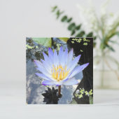 Schönes Wasser Lift Foto Sky Reflektion Karte (Stehend Vorderseite)