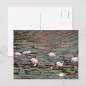 Schönes Wasser Lilies DIY Postkarte (Vorne/Hinten)