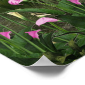 Schönes Wasserfall-Poster Poster (Ecke)