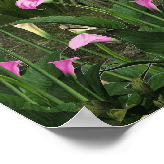 Schönes Wasserfall-Poster Poster (Ecke)