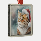 SCHÖNES WASSERFARBENFARBIGES WINTERTABBY CAT-FELD ORNAMENT AUS METALL (Rechts)