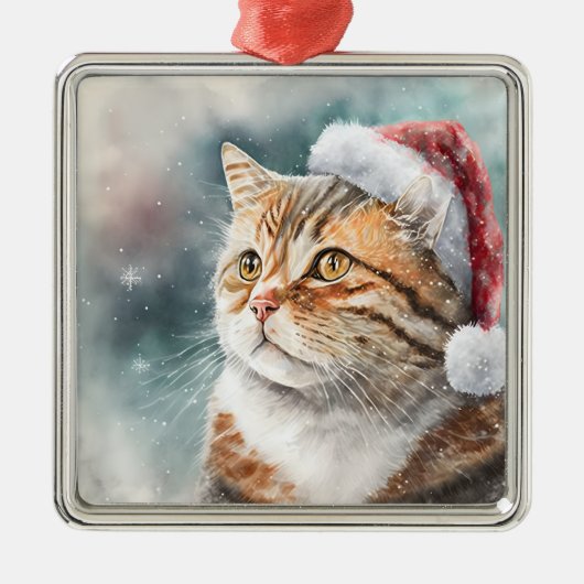 SCHÖNES WASSERFARBENFARBIGES WINTERTABBY CAT-FELD ORNAMENT AUS METALL (Vorne)