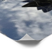 Schönes Water Lilly Foto Poster (Ecke)