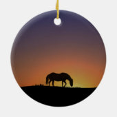 Schönes Weihnachtsschmuck im Südwesten (Hinten)