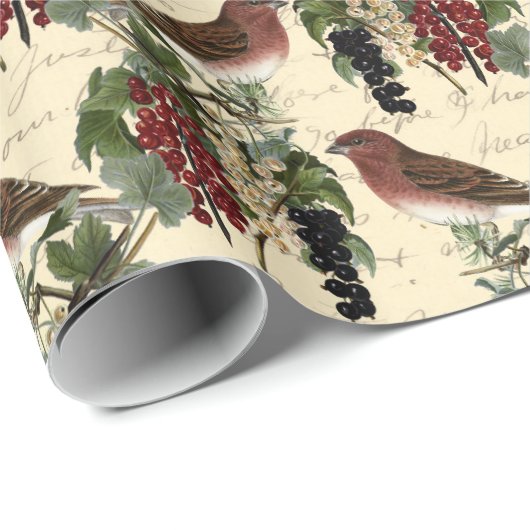 Schönes Weihnachtsvogelmuster Geschenkpapier (Rolleneckpunkt)