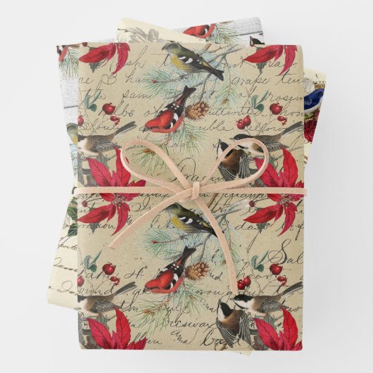 Schönes Weihnachtsvogelmuster Geschenkpapier Set (Beispiel)