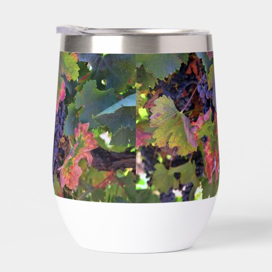 Schönes Weinglas mit Weintrauben (Rechts)