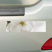 Schönes Weiß Autoaufkleber (Auf Auto)