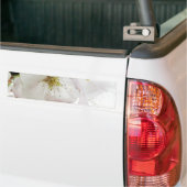 Schönes Weiß Autoaufkleber (Auf Lkw)