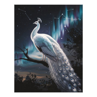 Schönes Weiß Pfau Aurora Borealis Landschaftlich Fotodruck