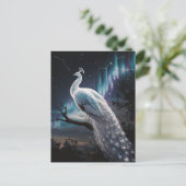 Schönes Weiß Pfau Aurora Borealis Landschaftlich Postkarte (Stehend Vorderseite)