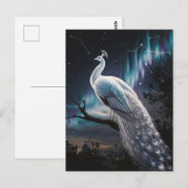 Schönes Weiß Pfau Aurora Borealis Landschaftlich Postkarte (Vorne/Hinten)