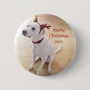Schönes Weiß Rentier Welpen Weihnachten Button