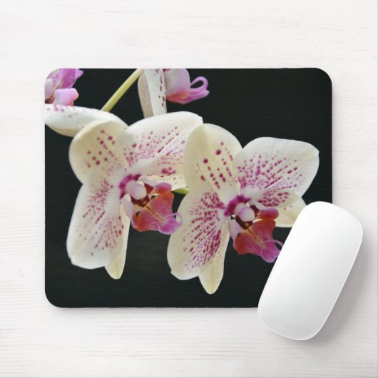 Schönes Weiß & Rosa Orchid mit schwarzem Hintergru Mousepad (Mit Mouse)