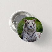 Schönes Weiß-Tiger-Foto Button (Vorne & Hinten)