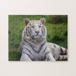 Schönes Weiß-Tiger-Foto Puzzle