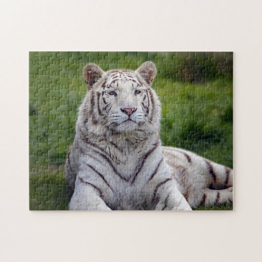 Schönes Weiß-Tiger-Foto Puzzle (Horizontal)