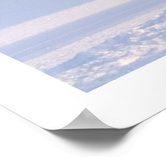 Schönes Weiße Pferd Poster (Ecke)