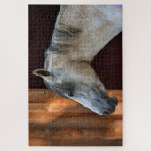 Schönes Weiße Pferd Puzzle (Vertikal)
