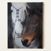 Schönes Weißes Arabian Pferd mit Colt Planer (Rückseite)