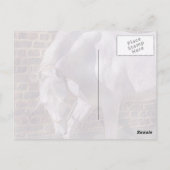 Schönes weißes Arabian-Pferd Postkarte (Rückseite)