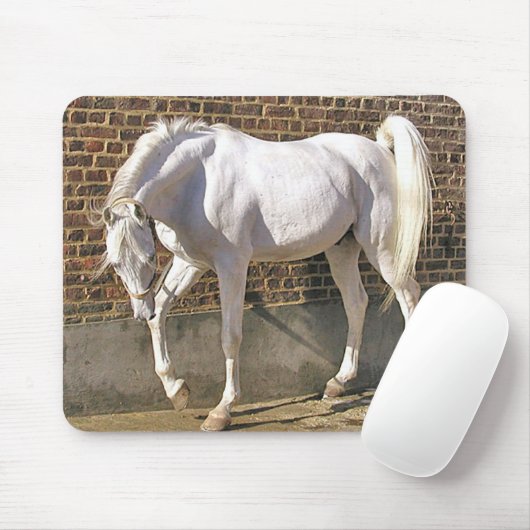 Schönes weißes arabisches Pferd Mousepad (Mit Mouse)