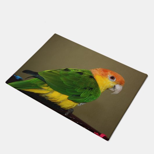 Schönes weißes Bündchen Kaique Parrot Posing Fußmatte (Schrägansicht)