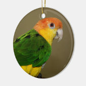 Schönes weißes Bündchen Kaique Parrot Posing Keramik Ornament (Links)