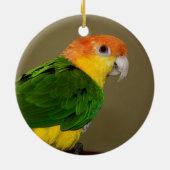 Schönes weißes Bündchen Kaique Parrot Posing Keramik Ornament (Hinten)