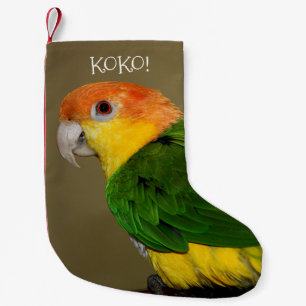 Schönes weißes Bündchen Kaique Parrot Posing Kleiner Weihnachtsstrumpf