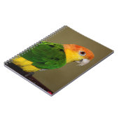 Schönes weißes Bündchen Kaique Parrot Posing Notizblock (Linke Seite)