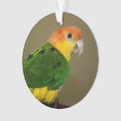 Schönes weißes Bündchen Kaique Parrot Posing Ornament (Vorderseite)