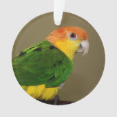 Schönes weißes Bündchen Kaique Parrot Posing Ornament (Vorderseite)