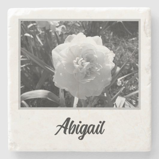 Schönes weißes Daffodil Steinuntersetzer (Vorderseite)