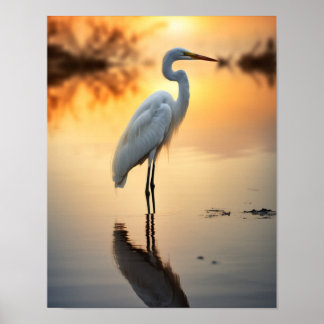 Schönes weißes Egret allein bei Morgendämmerung Poster