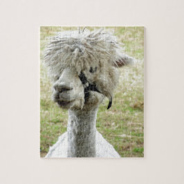 Schönes weißes Lama Puzzle