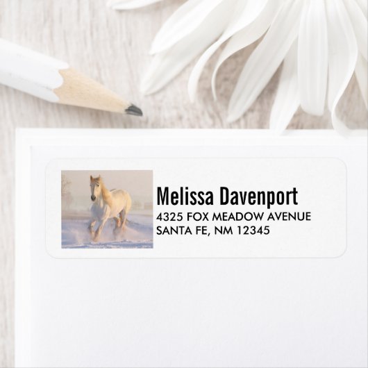 Schönes Weißes Pferd Galloping im Schnee (Insitu)