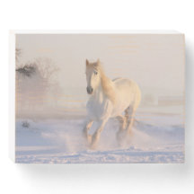 Schönes Weißes Pferd Galloping im Schnee