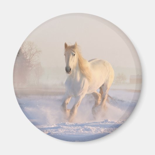 Schönes Weißes Pferd Galloping im Schnee Magnet (Vorne)