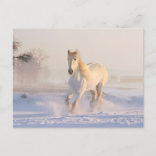 Schönes weißes Pferd läuft im Schnee Postkarte