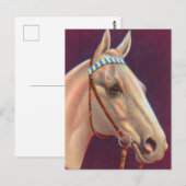 schönes weißes Pferd Postkarte (Vorne/Hinten)