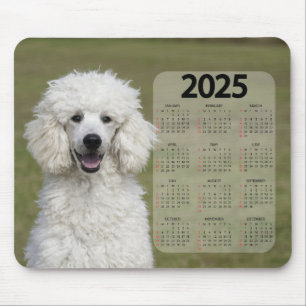 Schönes weißes Poodle 2025 Dog-Kalender Mousepad