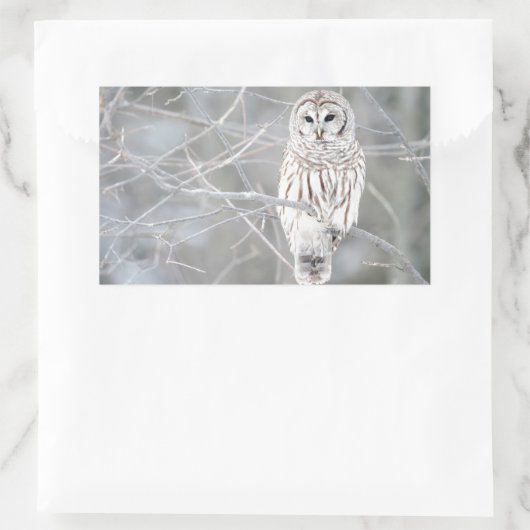 Schönes weißes Schneeballdesign Rechteckiger Aufkleber (Tasche)